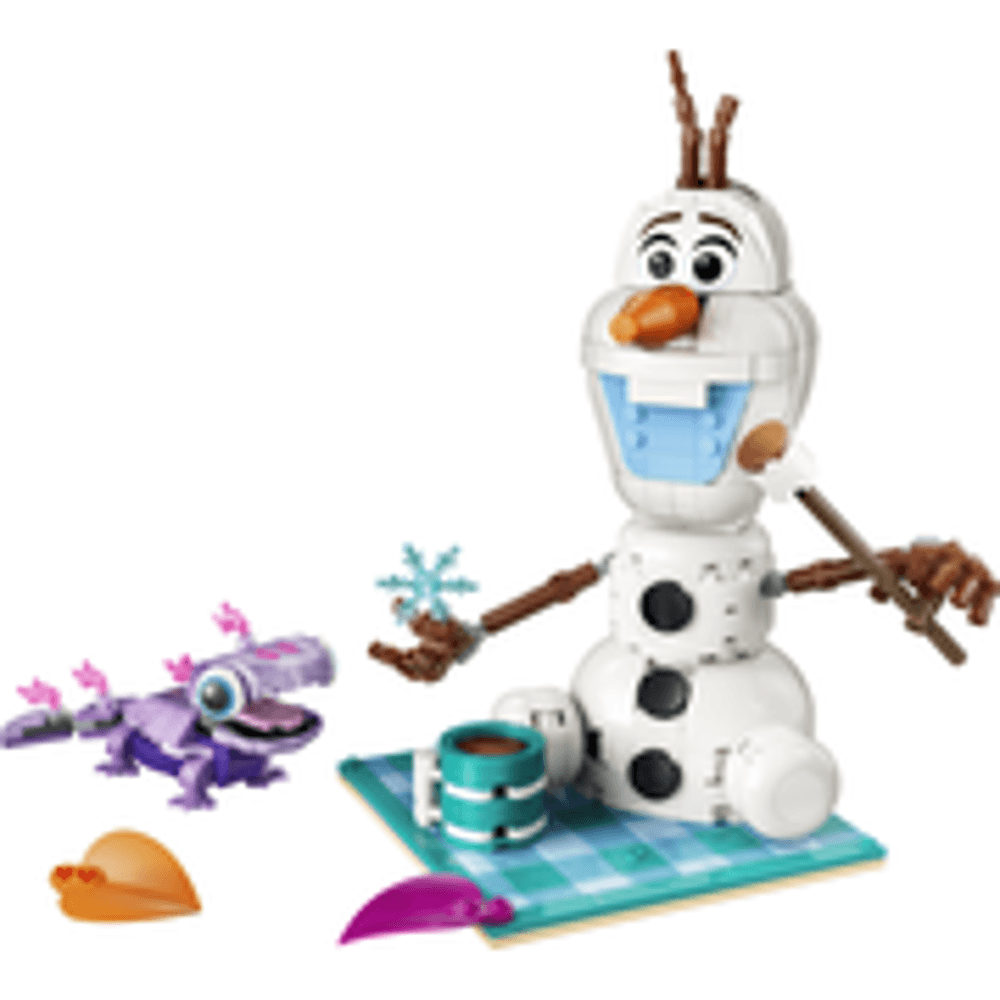 Lego Olaf and Brunis Picnic Fun